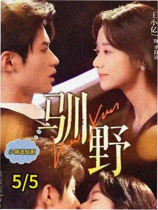 爱你电视剧全集 导演剪辑版
